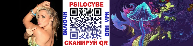 Псилоцибиновые грибы мицелий  Камень-на-Оби 