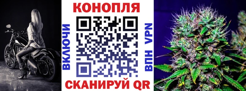 дарк нет телеграм  Камень-на-Оби  Канабис White Widow 